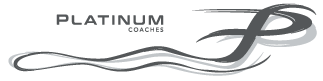 platnium 1